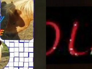 Gamin et Petit Petit tonnerre