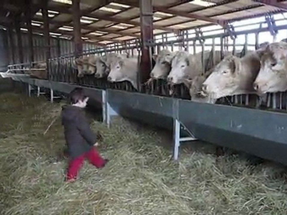 M&Ms à la ferme