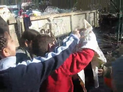 Atelier enfants Roms numéro 11 du 04_03_10 Marionnettes