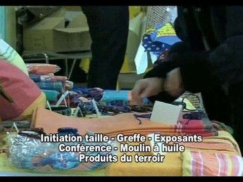 Annonce journée de l'olivier à Saint Paulet de Caison