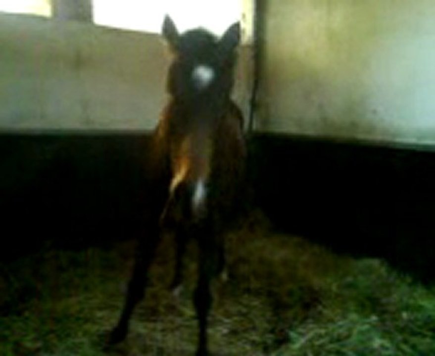 Mission qui se roule dans son box