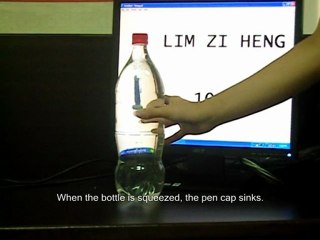 Cartesian Diver