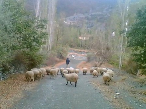 ÇORUM OSMANCIK - Hanefi Köyü