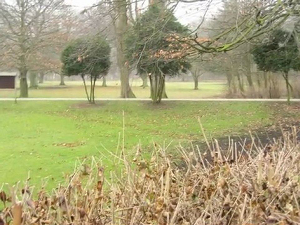 Diaporama de l'année 2009 - 3ème partie