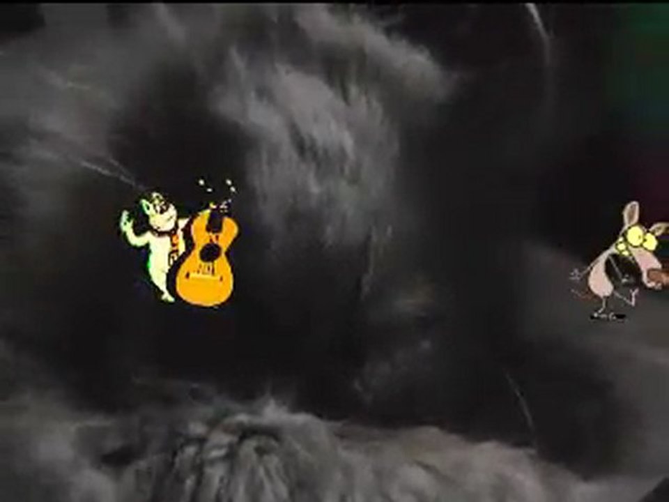 кошка3