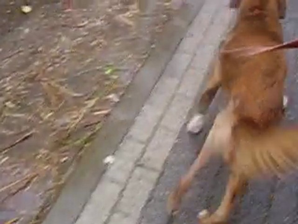 ISIKKIZ sokakta ve iyileşiyor