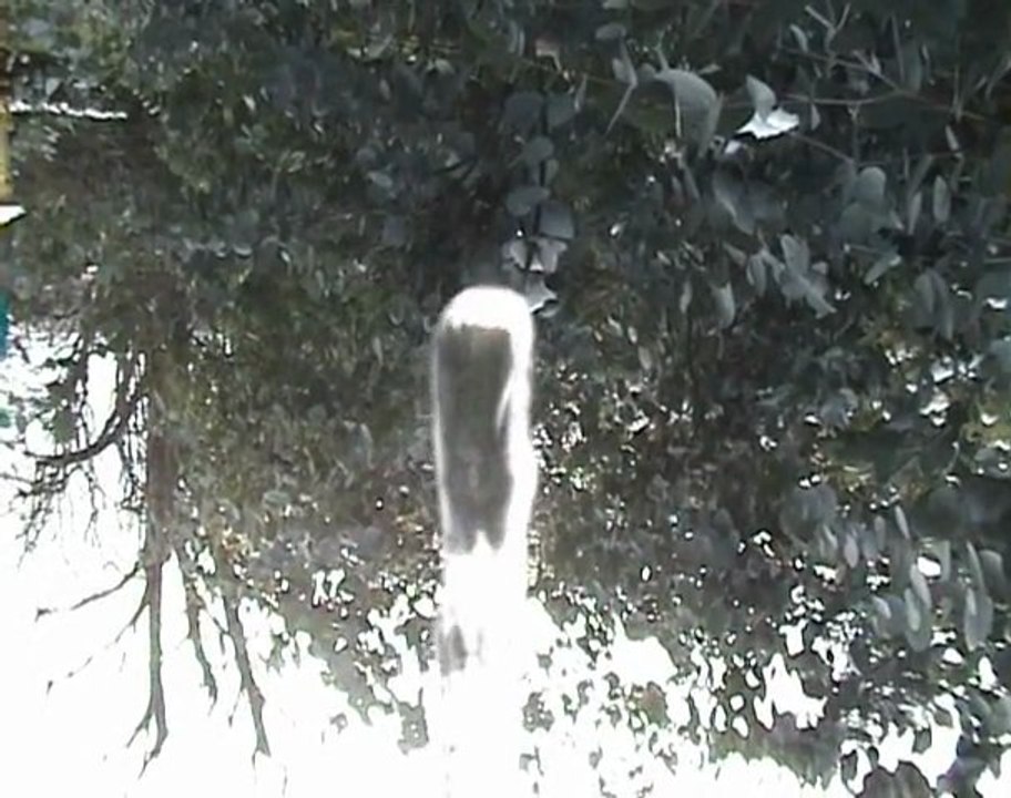 L'EAU DE LUTÈCE À PARIS