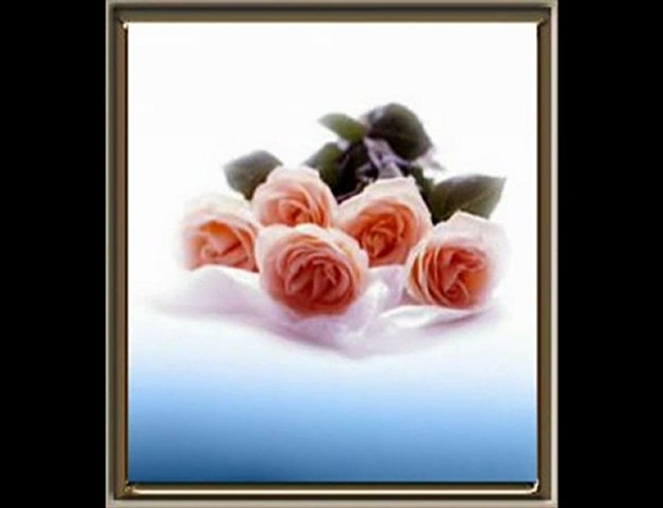 Yücel Arzen İllede Yar AS