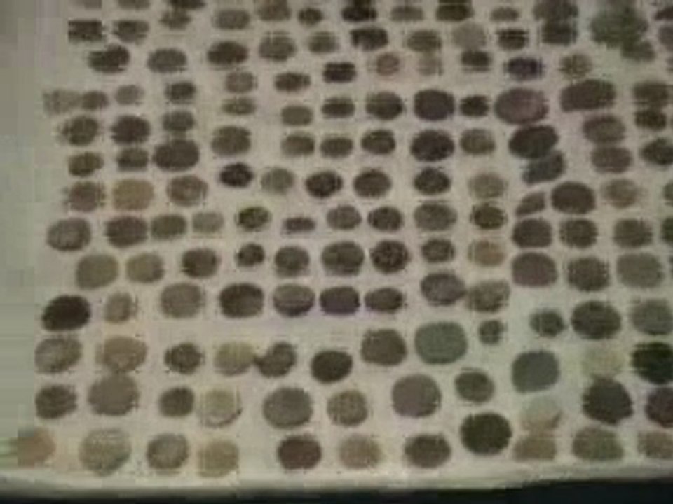 Prospection detecteur de métaux