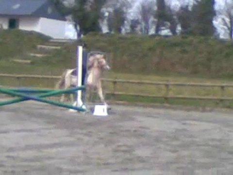 Moi et calin (mn 1er concours)