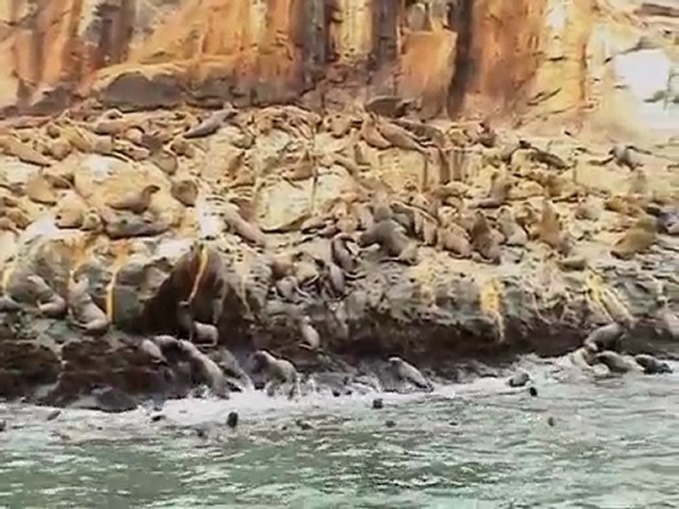 Dag 4 Lima - Palomino - Ica 16/09/07