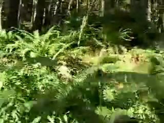 Cable cam extreme downhill mountain bike