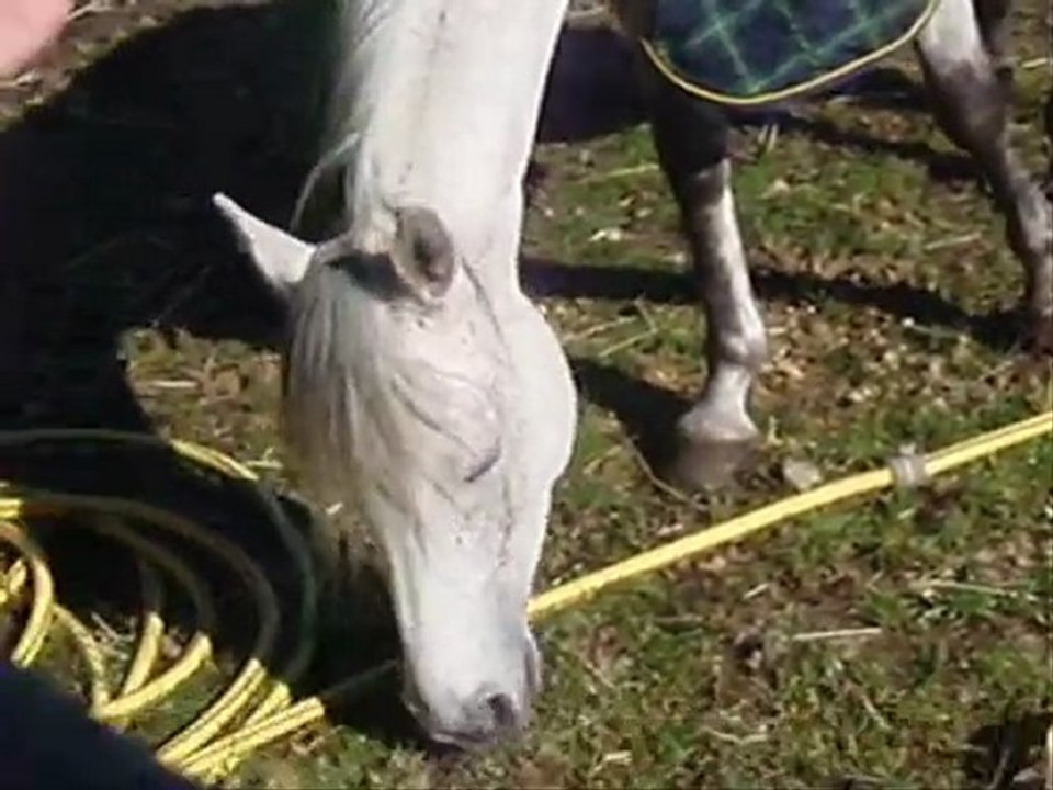 Vidéo début d''année 2009-2010