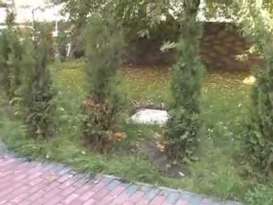 Hausprojekt bödi9 räumungsbedroht