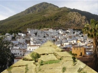 Maghreb United 🇲🇦