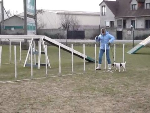 initiation agility avec laisse (1)