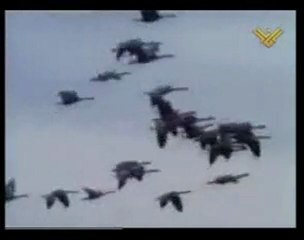 GRUB DAVET...LA İLAHE İLALLAH...