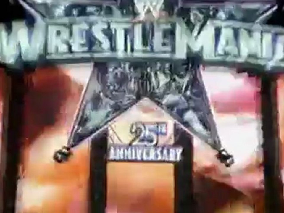 Are you ready for Wrestlemania 26?