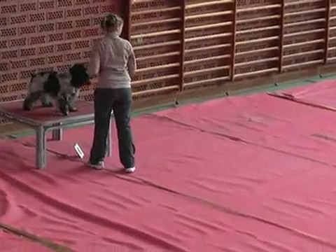 concours c'ven dieuze2010