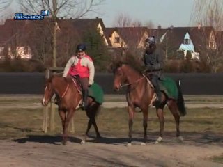 Dans les coulisses de l'hippodrome de Hoerdt