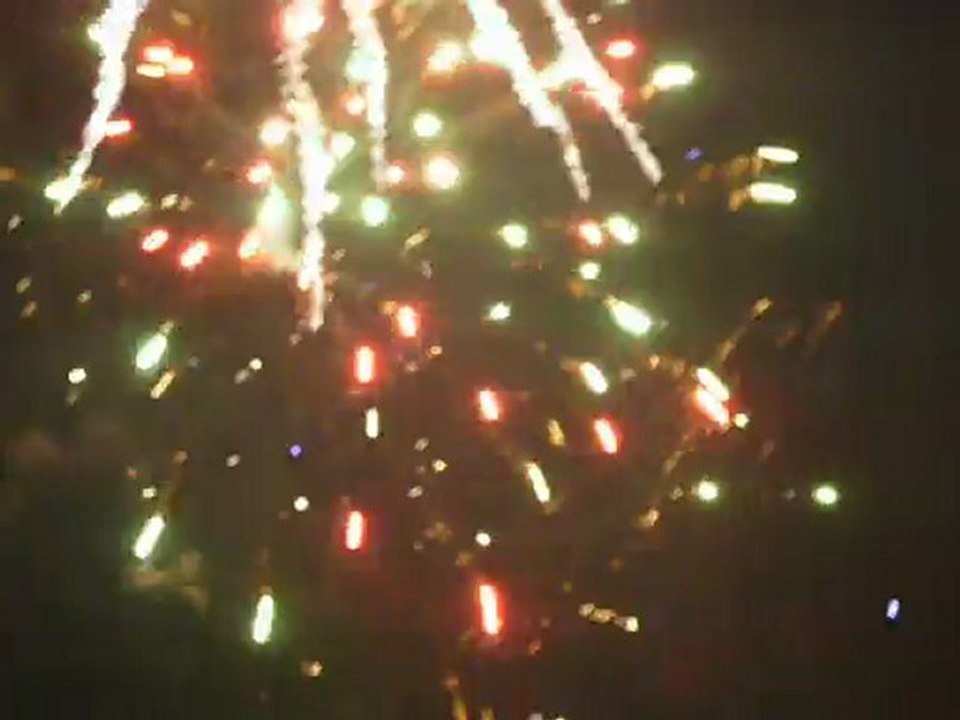carnaval de romans 8