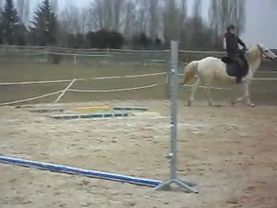 LES PONEYS DE SOPHIE CAM' BARRES AU SOL 13 03 2010 SDC10937