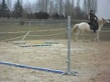 LES PONEYS DE SOPHIE CAM' BARRES AU SOL 13 03 2010 SDC10937