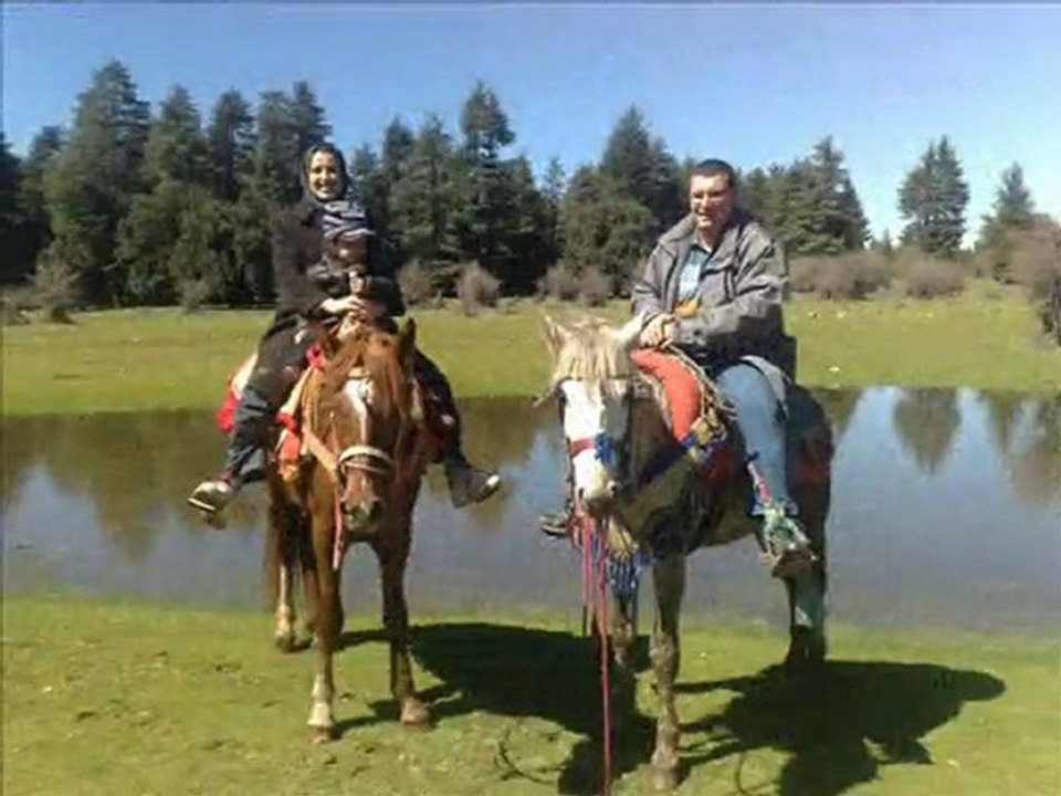 Cèdre Gouraud  Azrou , Ifrane (13-14 mars 2010)