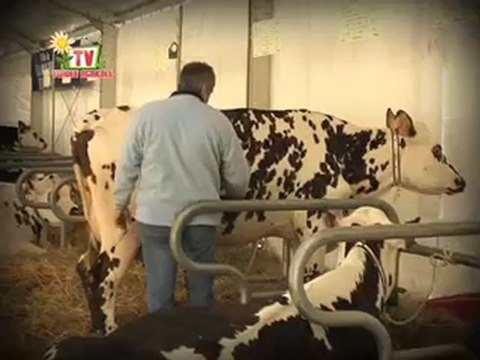Journal Vendée Agricole TV 19 mars 2010