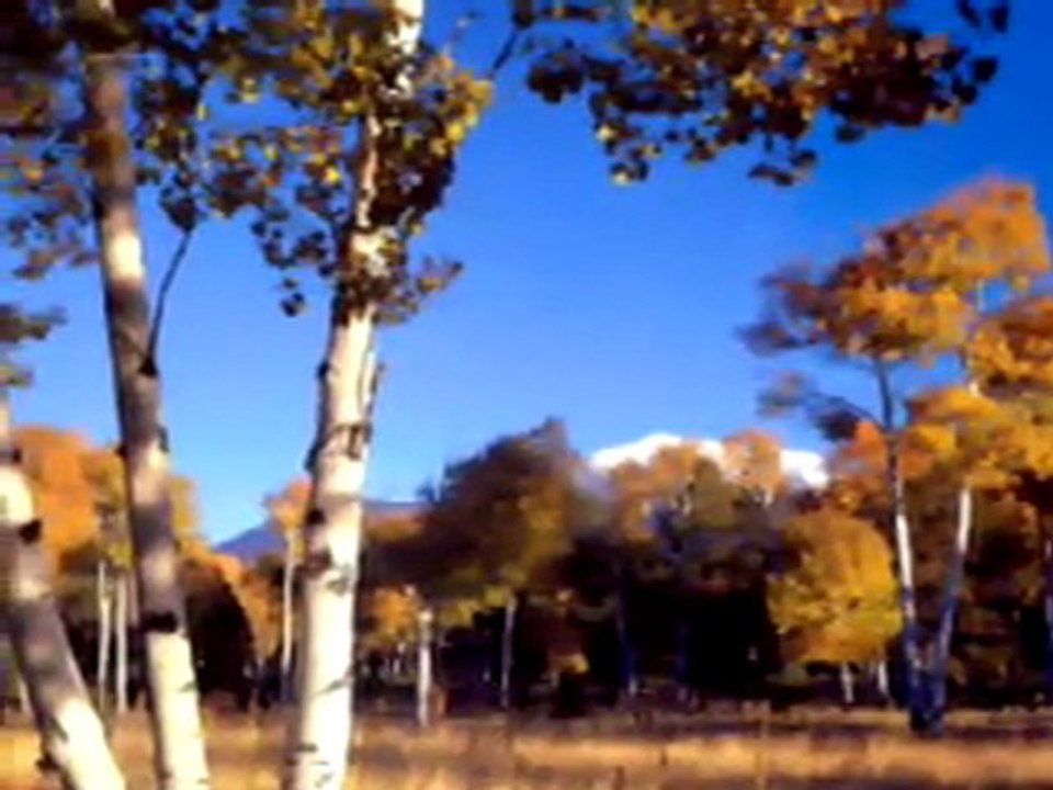 GİDEN YOLLAR BUMUDUR