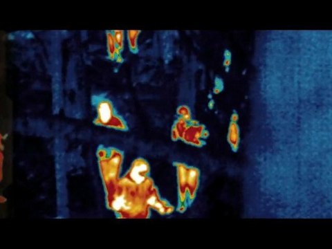 PREDATORS BANDE ANNONCE VOST