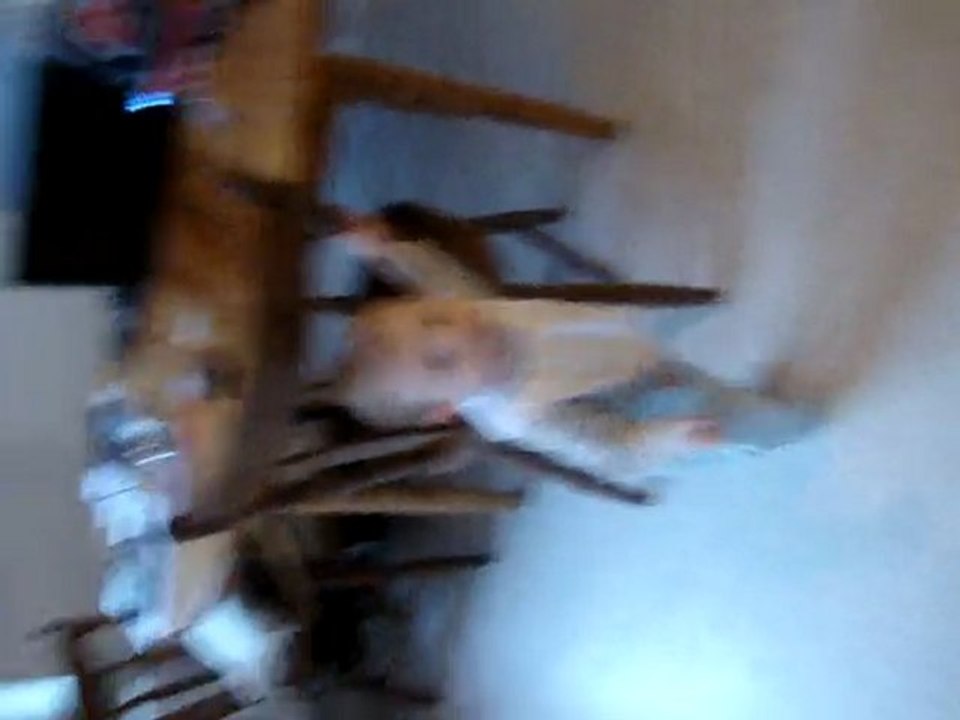 MOV00730