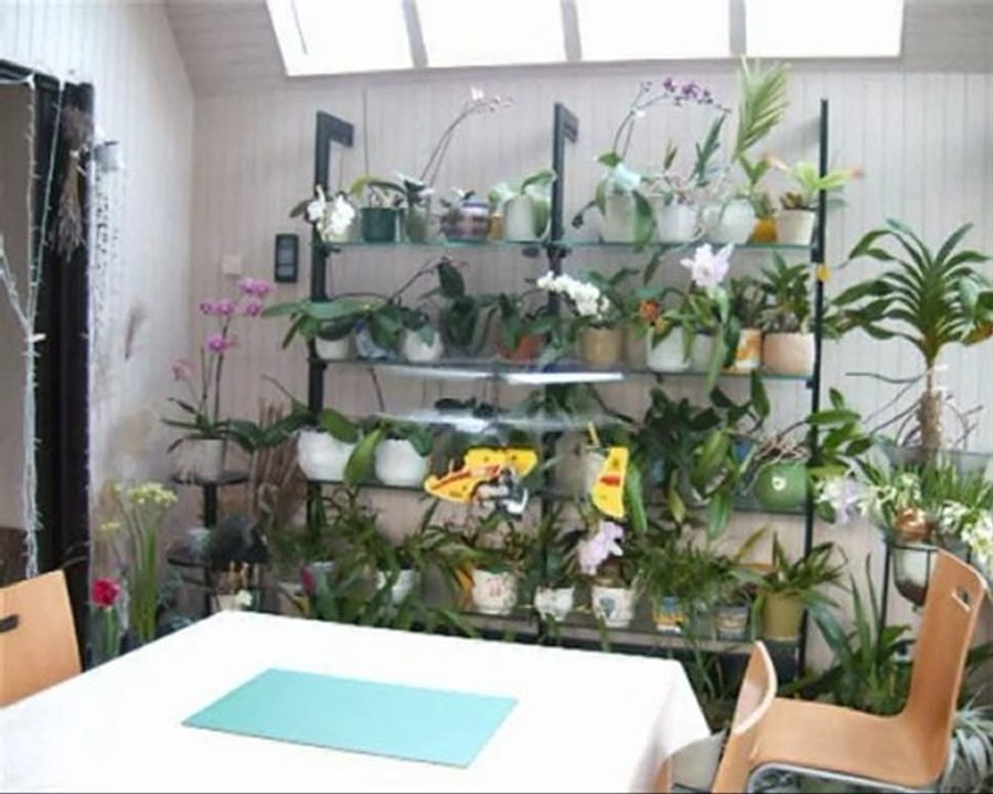 Le Micro Blade et les orchidées