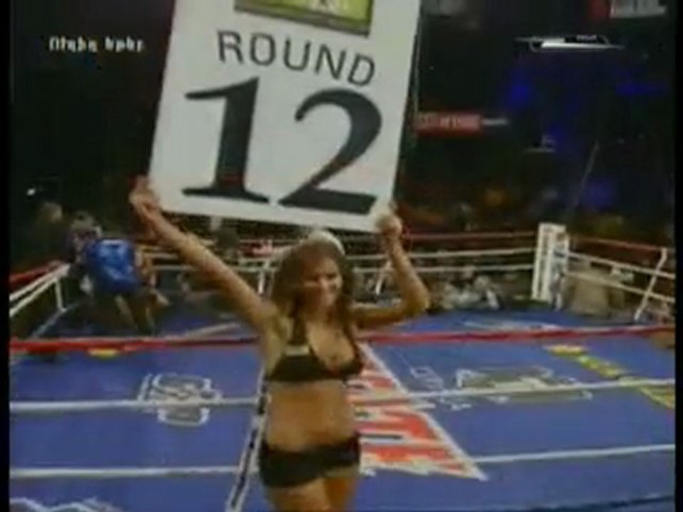 Vic Darchinyan vs. Rodrigo Guerrero Round 12