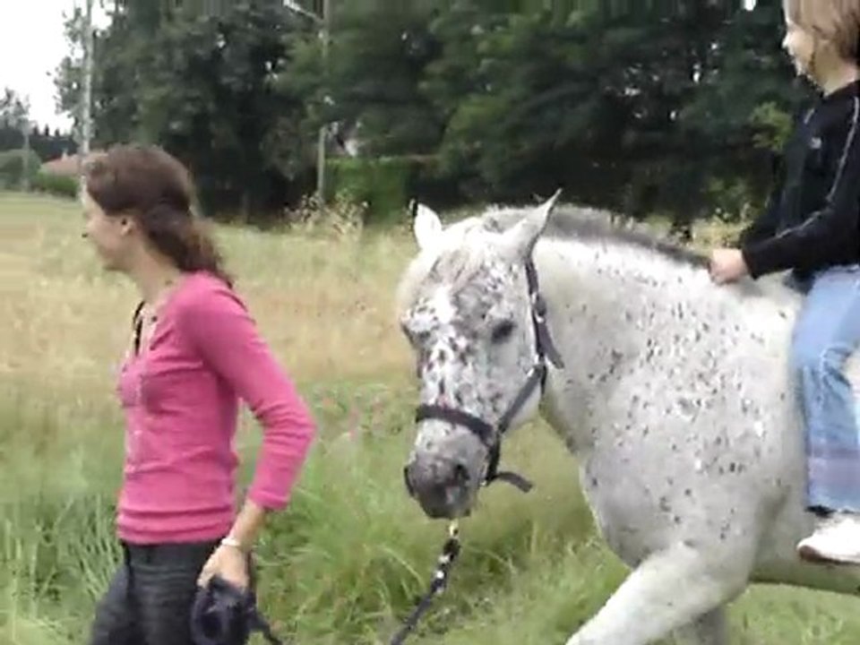 Poulain