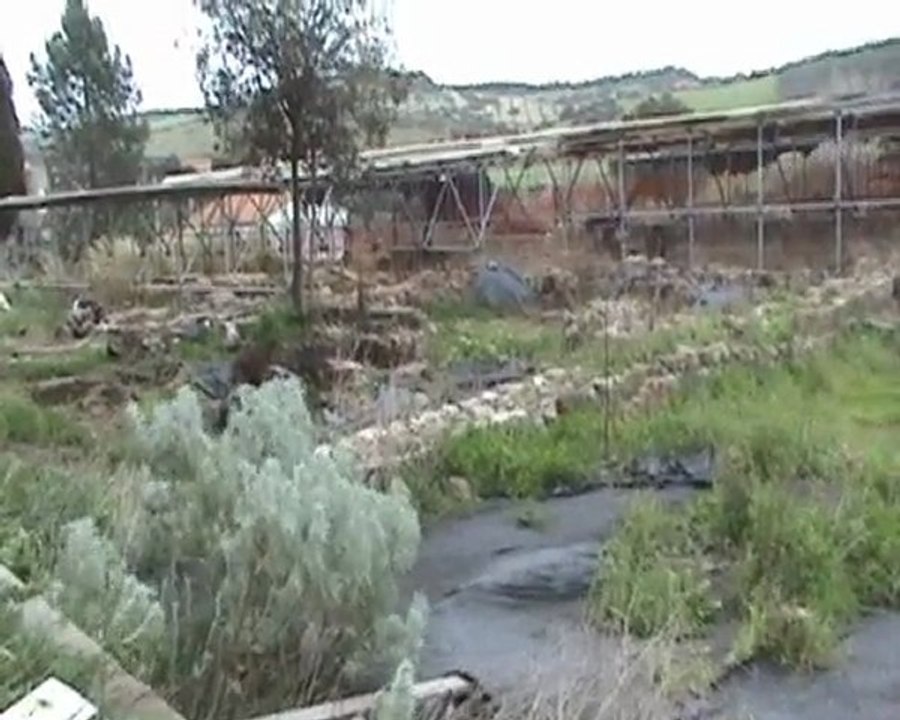 La Sardegna medievale - S. Maria di Tergu