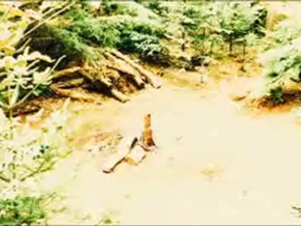 Eden Lake