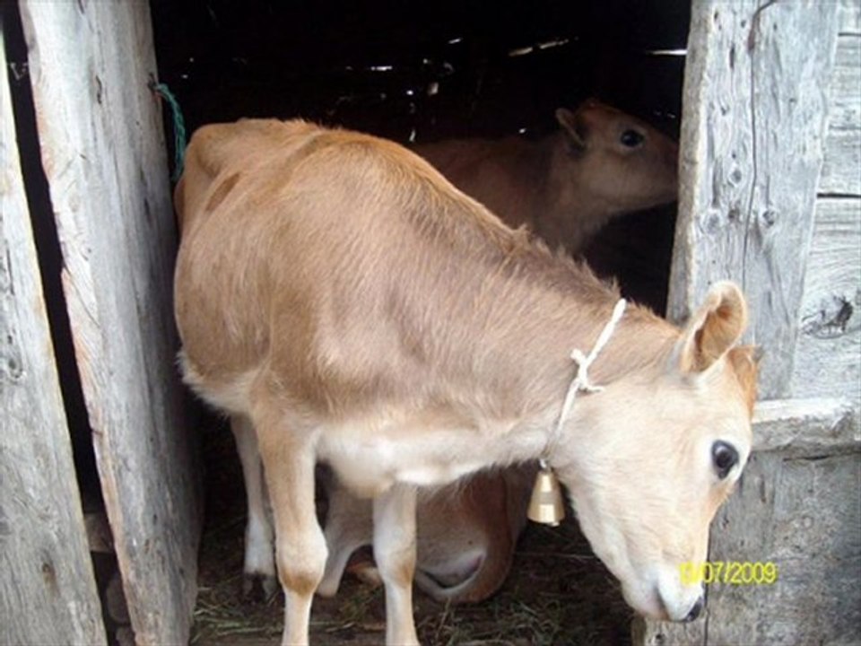 kerim aydın yayla yol havası kaval