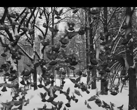 Sensiz Hiç Ağlamadım Ben-Mehmed Aksuhan Aksu