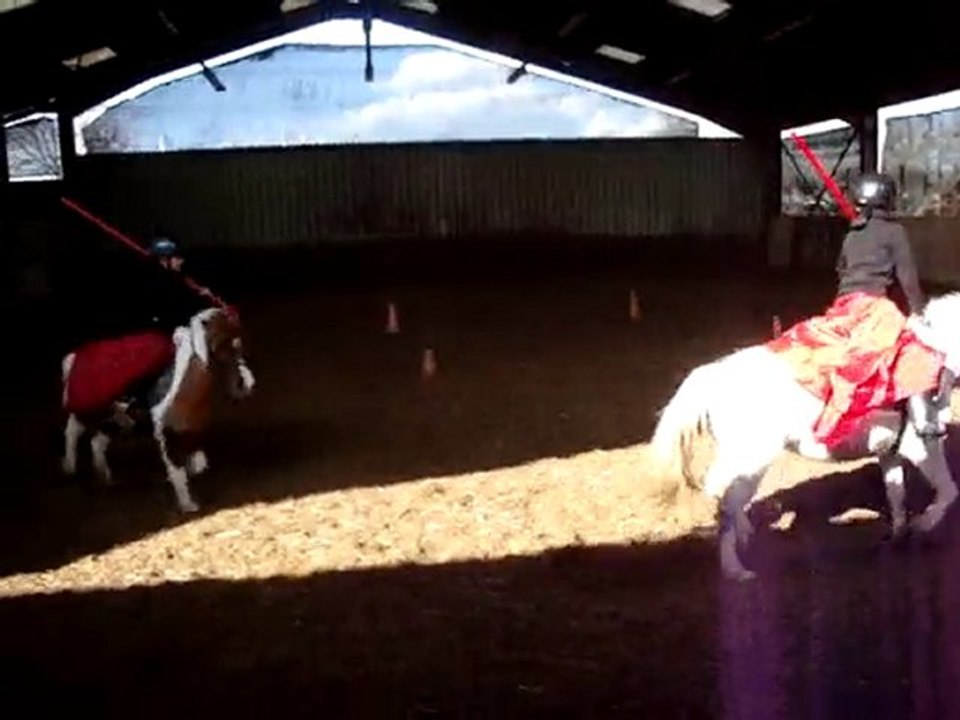 petit spectacle pr le carnaval par les enfants du poney club