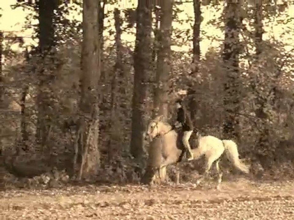 Galop et saut en balade