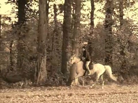 Galop et saut en balade