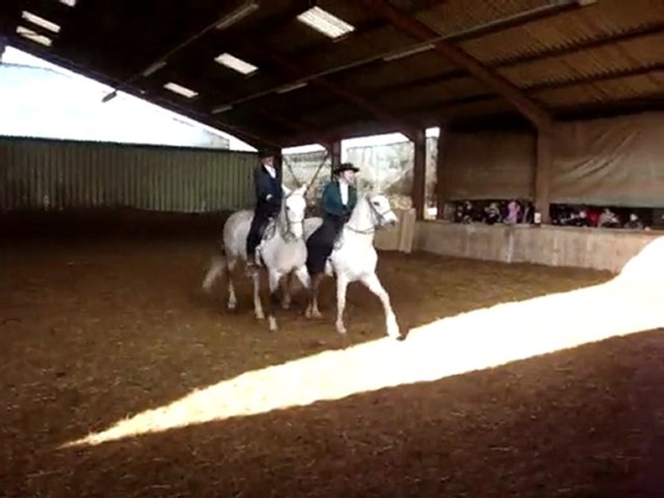 spectacle équestre presenté pr le carnaval par les adultes