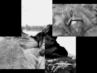 crno,bijelo...a na kraju boja!