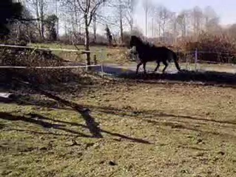 rose 1m30 trop fiére