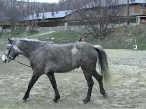 1ere Séance de longe de Léa