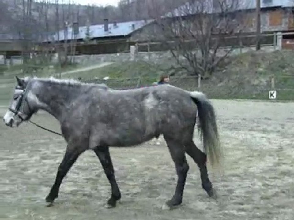 1ere Séance de longe de Léa