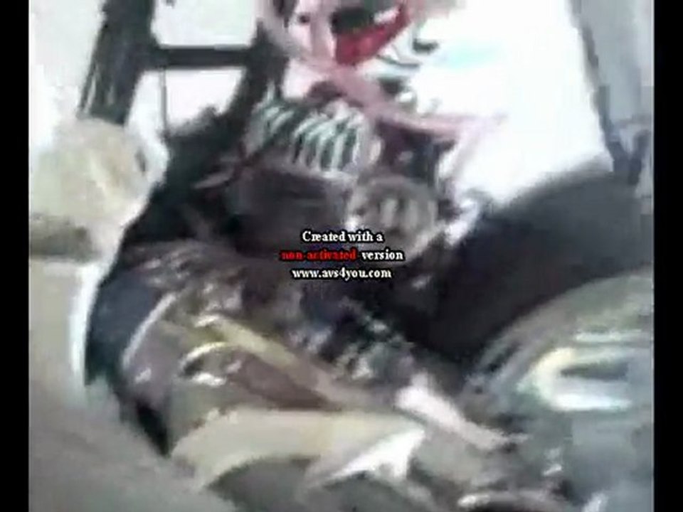 spirit polini evo 70