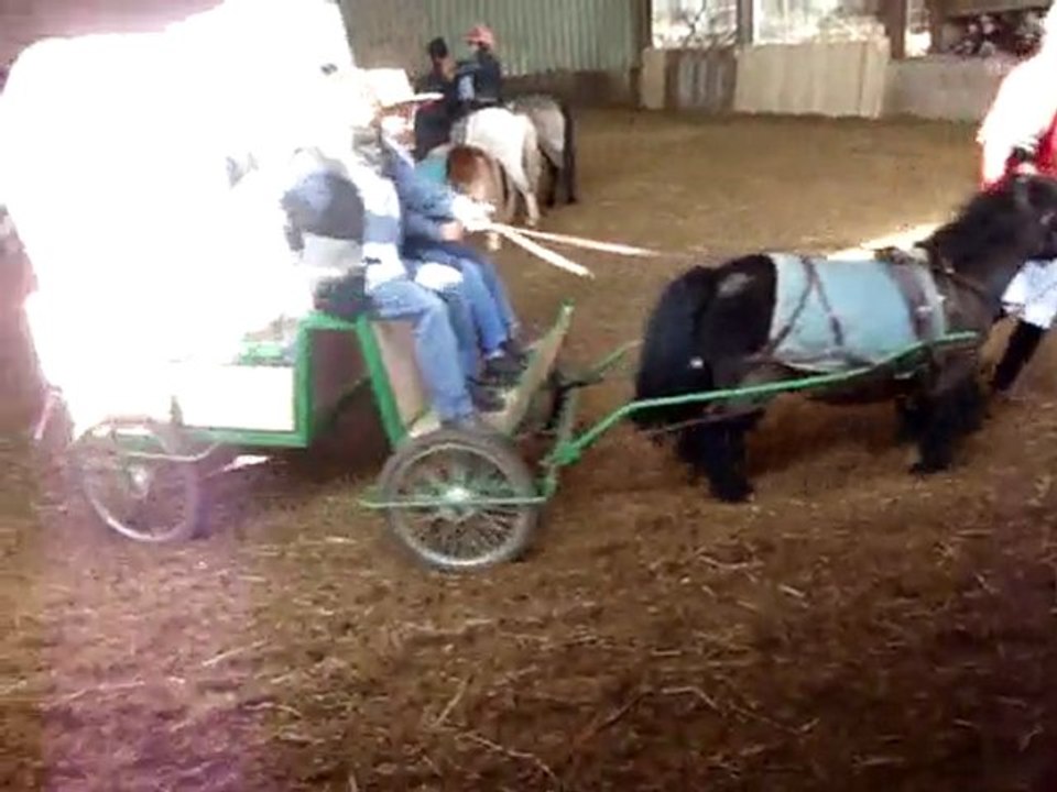 spectacle pr le carnaval par les enfants du poney club