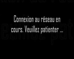 Assassin's Creed II (PC) - DRM